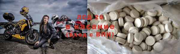ГАЛЛЮЦИНОГЕННЫЕ ГРИБЫ Горно-Алтайск