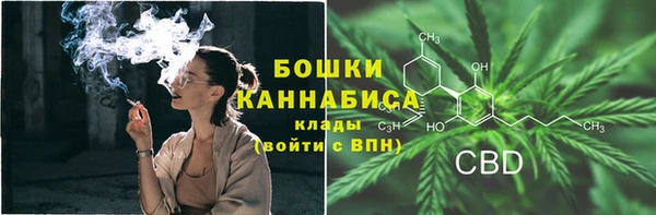 мдпв Тында