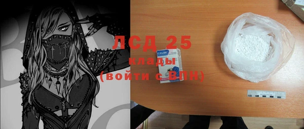 ГАЛЛЮЦИНОГЕННЫЕ ГРИБЫ Горно-Алтайск