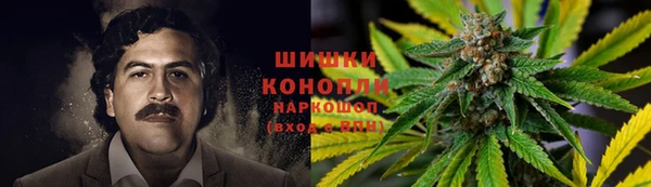 соль курить ск Горняк