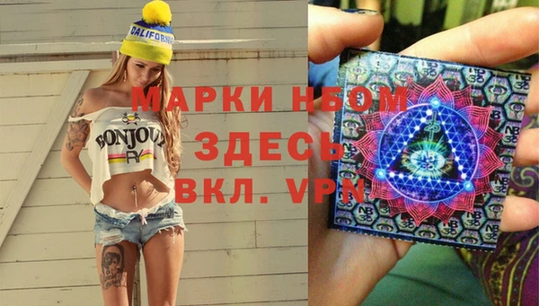 ГАЛЛЮЦИНОГЕННЫЕ ГРИБЫ Горно-Алтайск