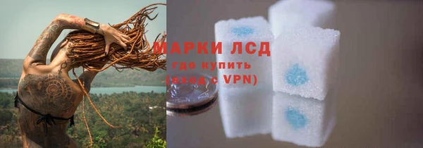 ГАЛЛЮЦИНОГЕННЫЕ ГРИБЫ Горно-Алтайск