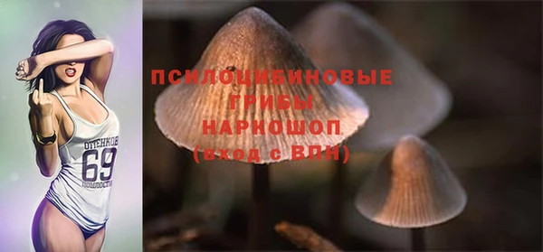 соль курить ск Горняк