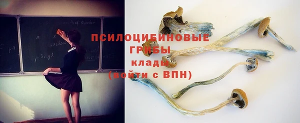 ГАЛЛЮЦИНОГЕННЫЕ ГРИБЫ Горно-Алтайск