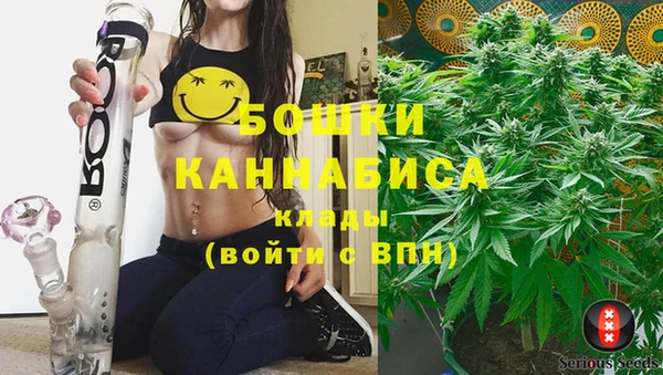 ГАЛЛЮЦИНОГЕННЫЕ ГРИБЫ Горно-Алтайск