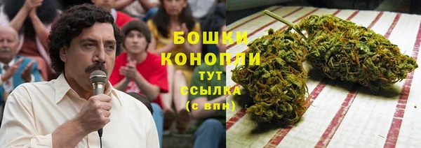 соль ск Гусиноозёрск