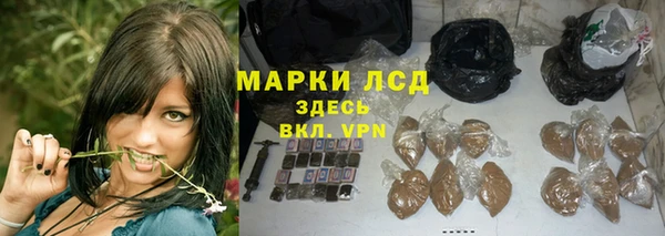 ГАЛЛЮЦИНОГЕННЫЕ ГРИБЫ Горно-Алтайск