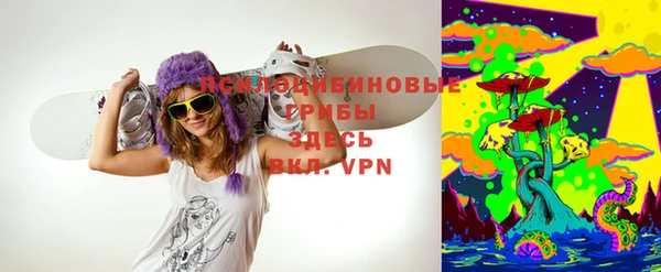 ГАЛЛЮЦИНОГЕННЫЕ ГРИБЫ Горно-Алтайск